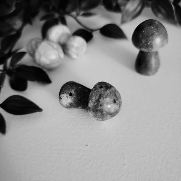 Mini mushrooms - Picture 9 of 10